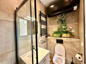 Shower, hair dryer, soap, toilet paper