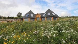 A house with a triangular roof and large windows, surrounded by a field of wildflowers. - Yr Awen - Inspiration (Lampeter)
