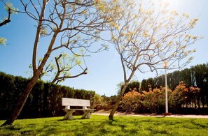 المنطقة المحيطة بالمنشأة