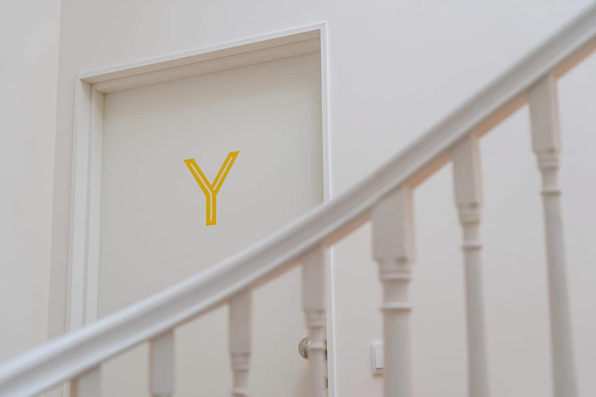 Apartment (One-Bedroom Apartment)