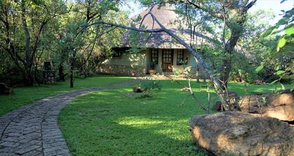 Family Lodge in Natural African Bush - 2113
