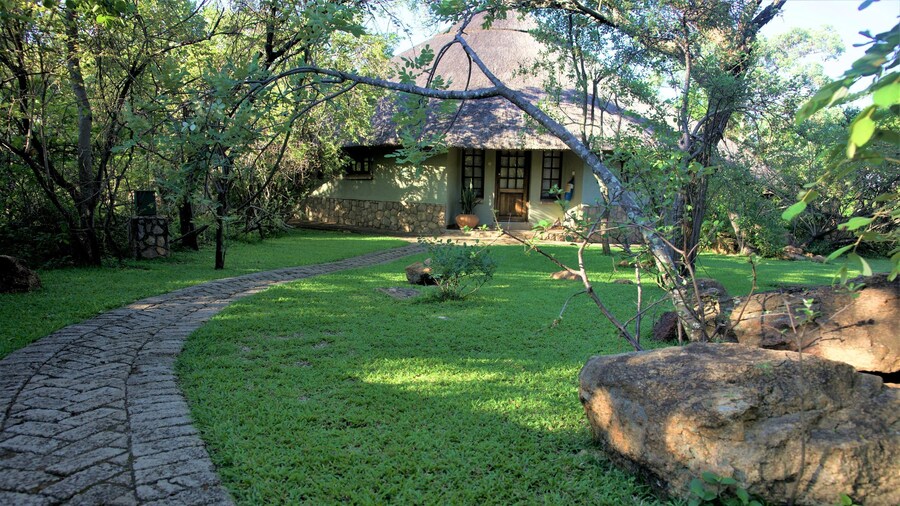 Family Lodge in Natural African Bush - 2113