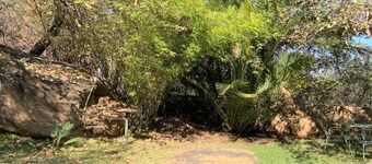 Double Lodge in Natural African Bush - 2112