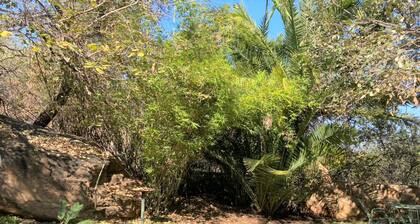 Double Lodge in Natural African Bush - 2112