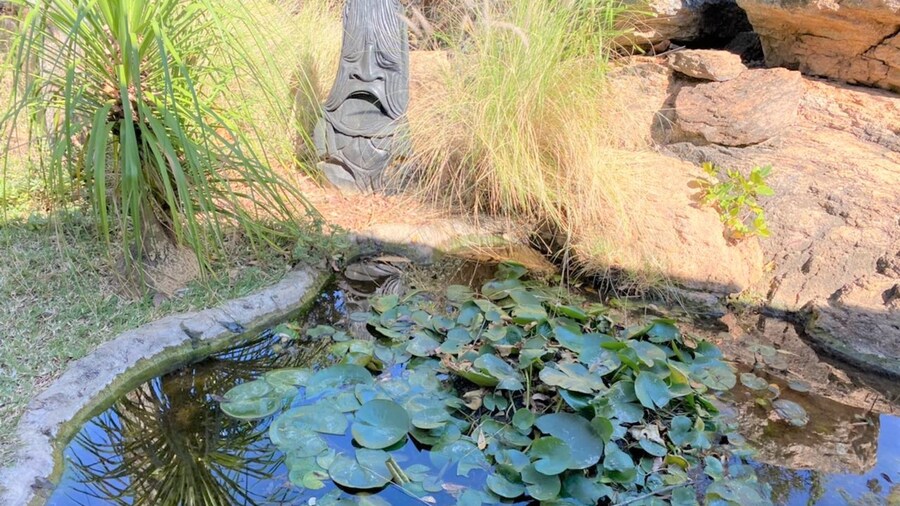 Family Lodge in Natural African Bush - 2115