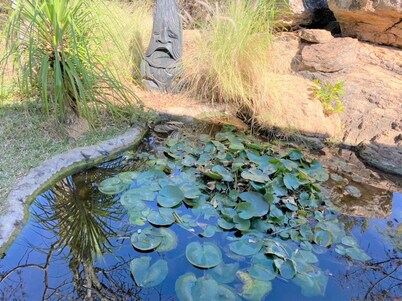 Family Lodge in Natural African Bush - 2115