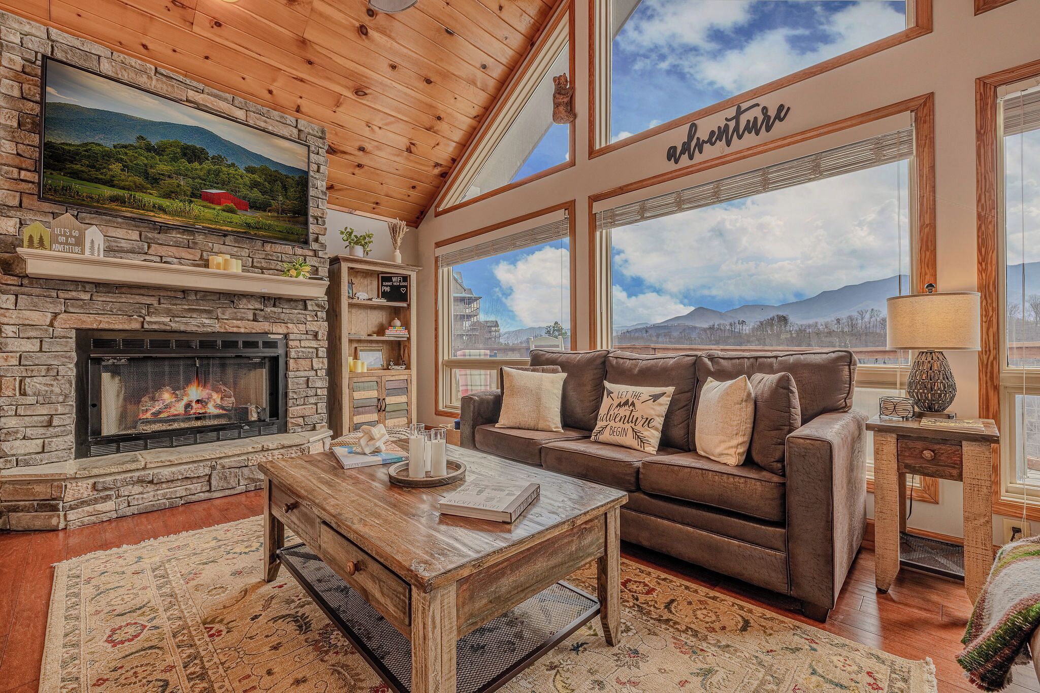 Smart TV, fireplace, books