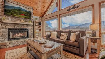 Smart TV, fireplace, books