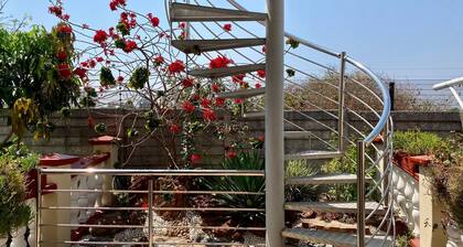 Studio Near Airport City Centre - 2317