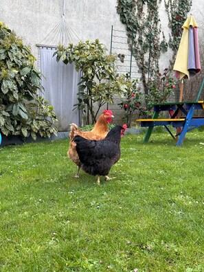 Enceinte de lâhĂ©bergement