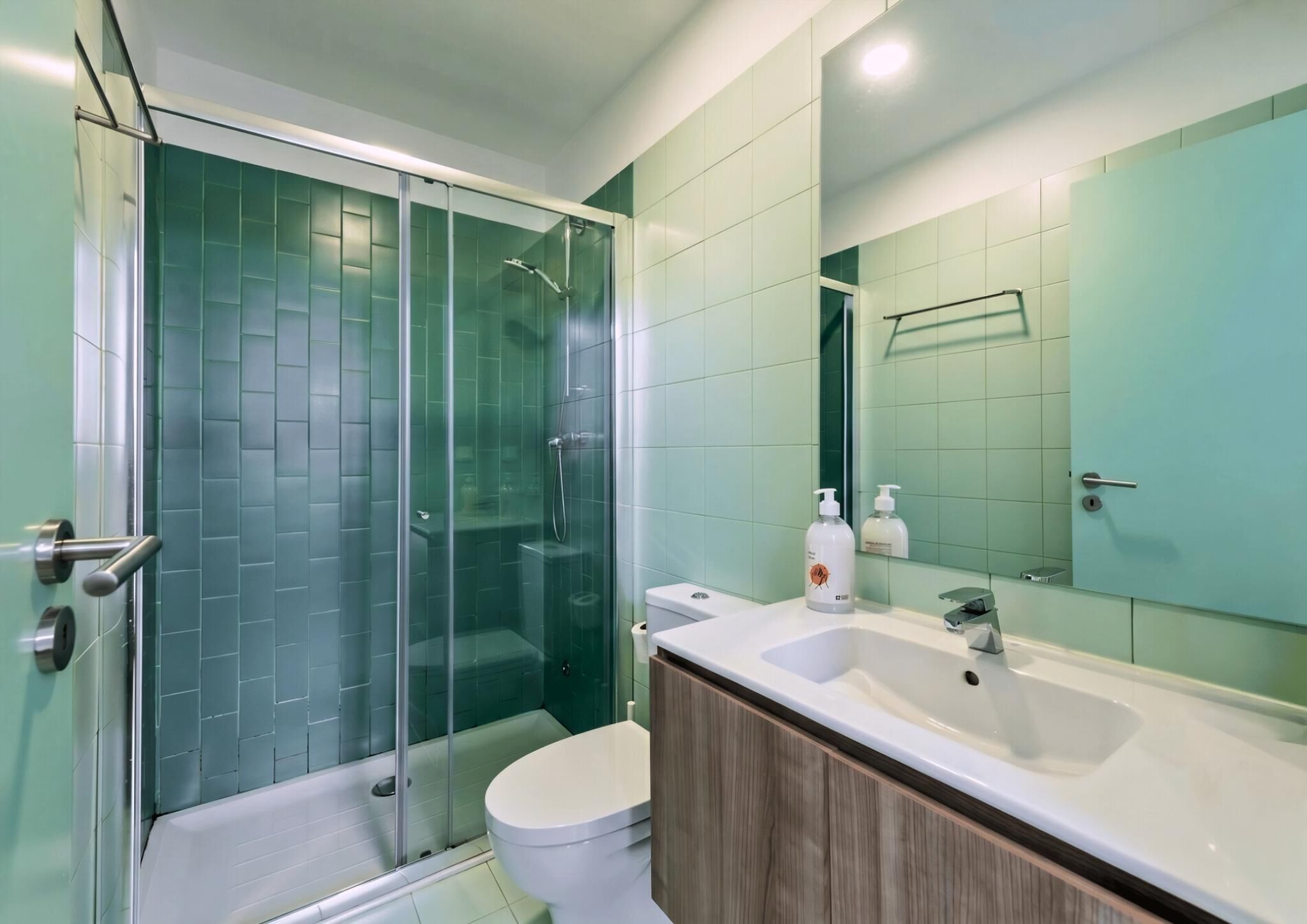 Departamento (Standard Room) | Baño | Regadera, amenidades de baño gratuitas, secadora de cabello, toallas 