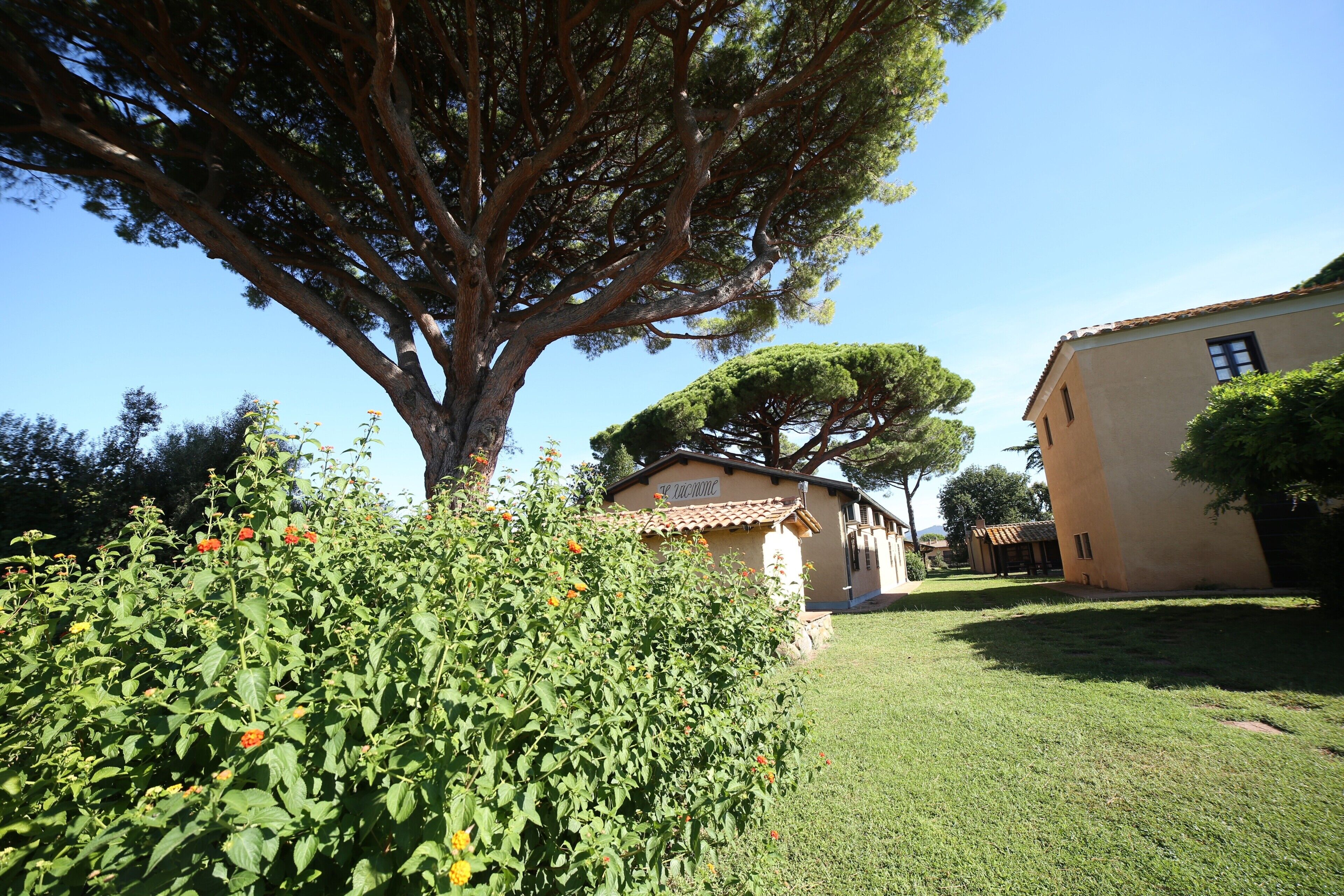 Parco della struttura