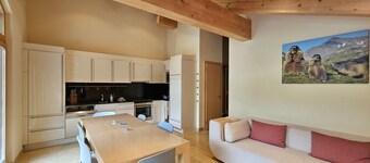 Modern penthouse flat in Haus Aramis directly on the ski slope