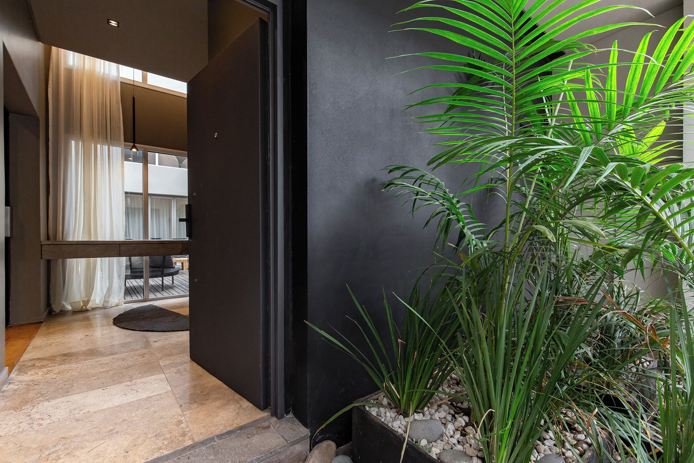 A modern interior with a dark wall, a potted plant, and a glimpse of a room with a large window and curtains.