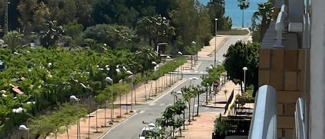 A street view with parked cars, trees, and a clear view of the ocean.