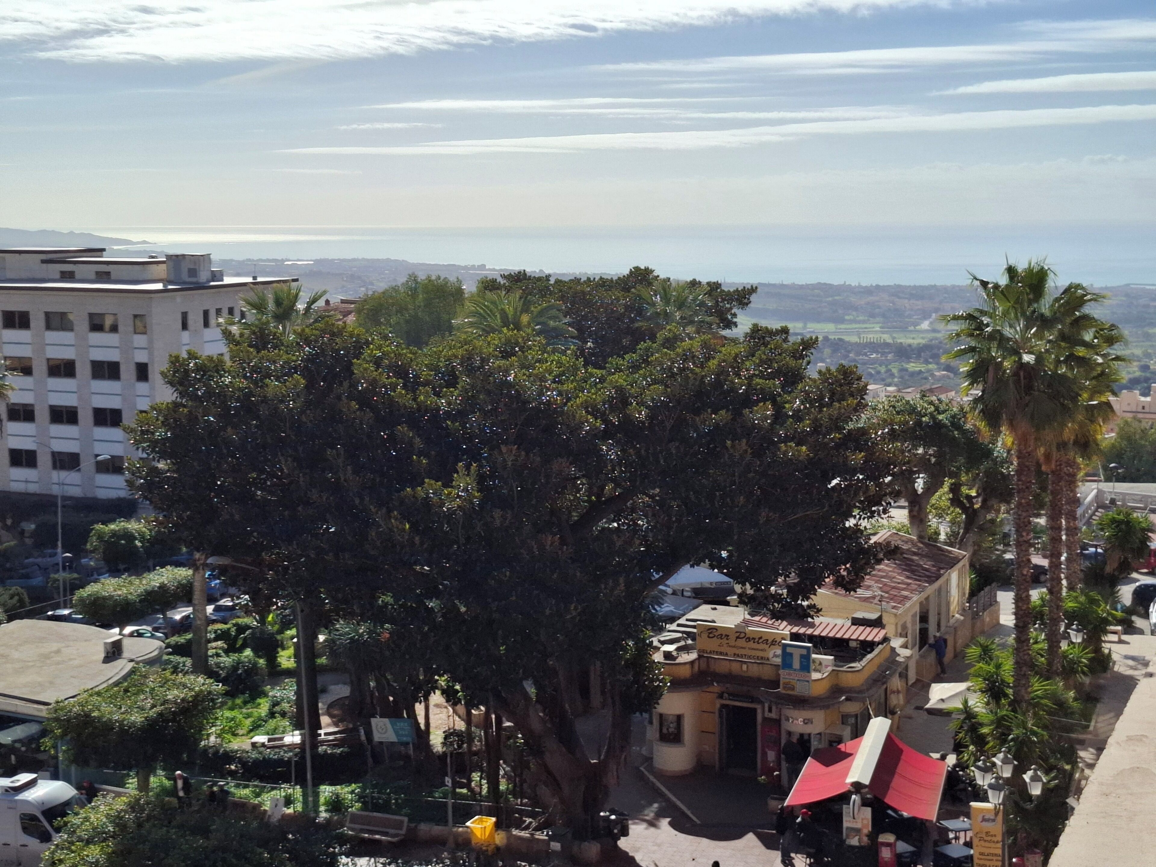 A building with a large tree in front, a street with parked cars, and a view of the sea in the background.