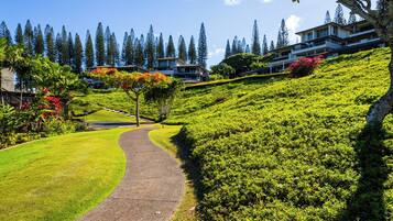 A pathway leading to a hillside with lush greenery and a row of modern buildings.