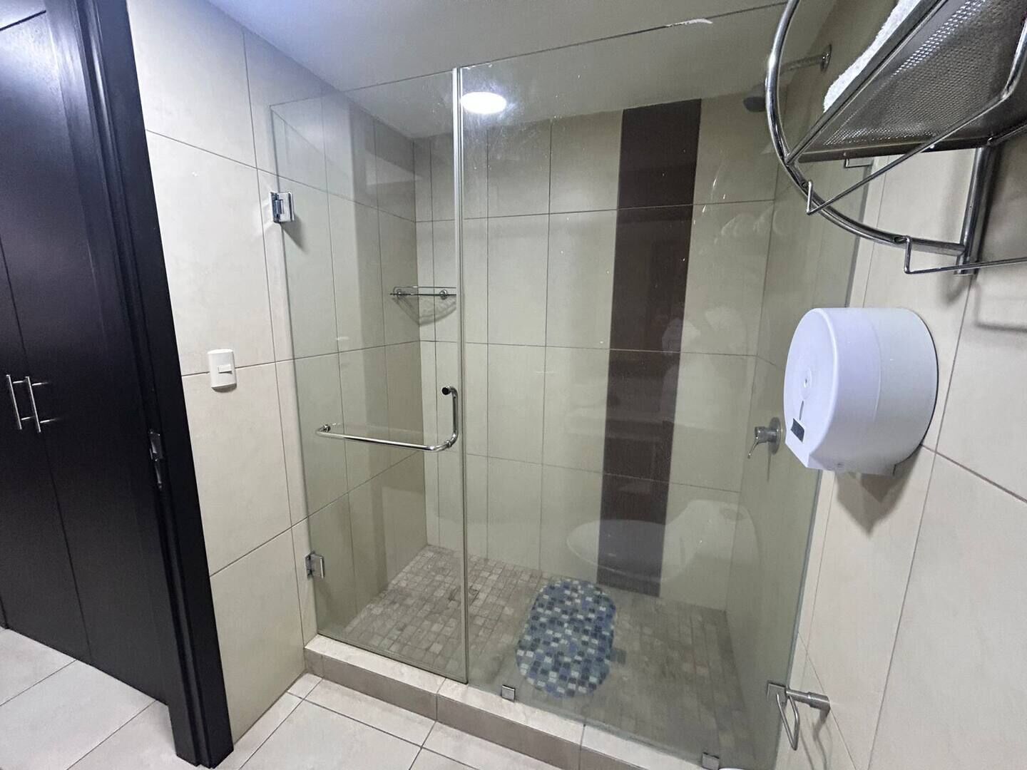 Shower, hair dryer