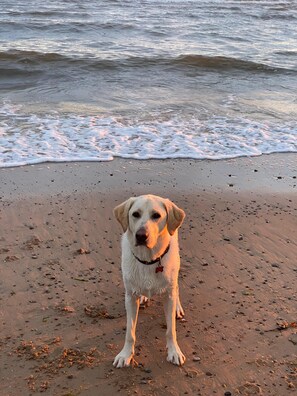 Playa
