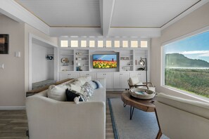 TV, fireplace, books