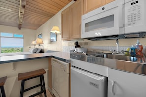 Fridge, microwave, stovetop, dishwasher