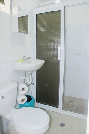 Regadera, toallas, jabón, papel de baño