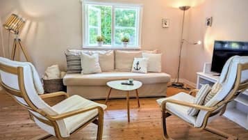 Smart TV, fireplace, books, stereo