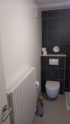 Hair dryer, towels, toilet paper