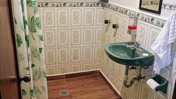 Shower, towels, soap, toilet paper