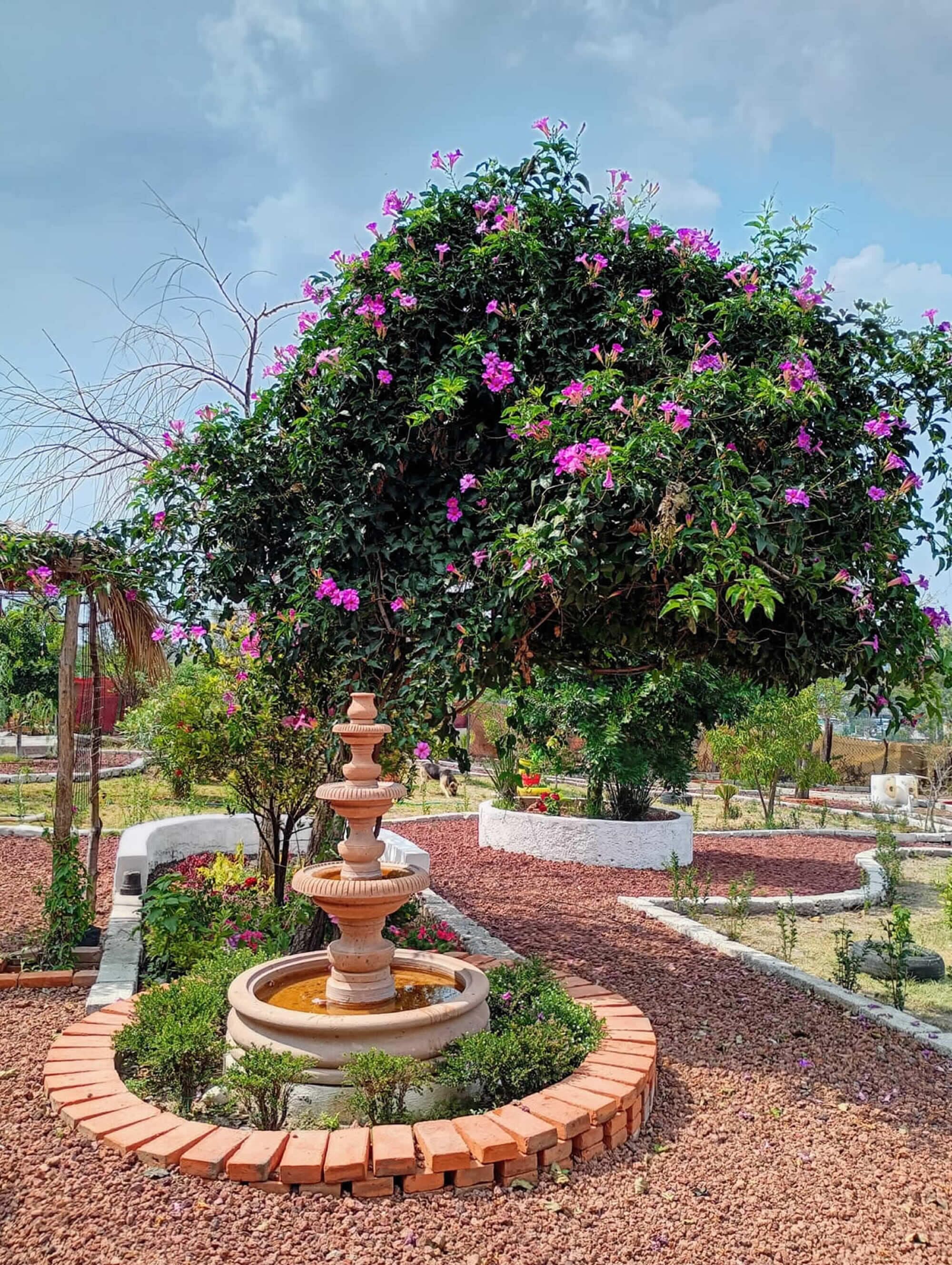 Overnattingsstedets uteområder