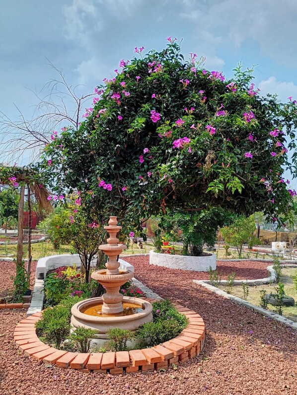 Property grounds - Cottage 20min from Arcos del Sitio (Ciudad Nicolás Romero)