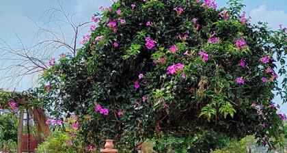 Cabaña a 20min de Arcos del Sitio