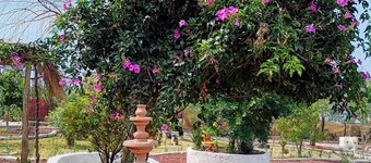 Cottage 20min from Arcos del Sitio