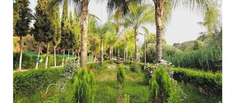 ANGLE ATLAS Hotel & SPA Double Room