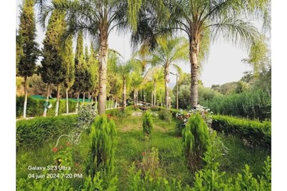 ANGLE ATLAS Hotel & SPA Double Room 5