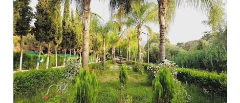 Jardines del alojamiento