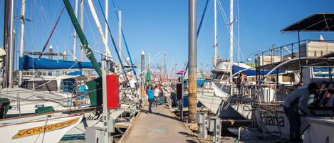 Un port de plaisance avec des bateaux amarrés, un ciel dégagé et un sentier qui traverse les bateaux.