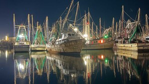 A nighttime harbor with multiple fishing boats docked, their masts and structures illuminated. - Luxurious 2-bedroom Yacht in enchanting Puerto Peñasco with AC (Puerto Peñasco)