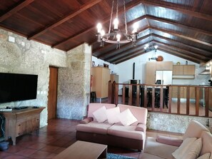 TV, fireplace, table tennis