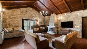 TV, fireplace, table tennis
