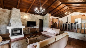 TV, fireplace, ping pong