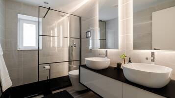 Shower, hair dryer, towels