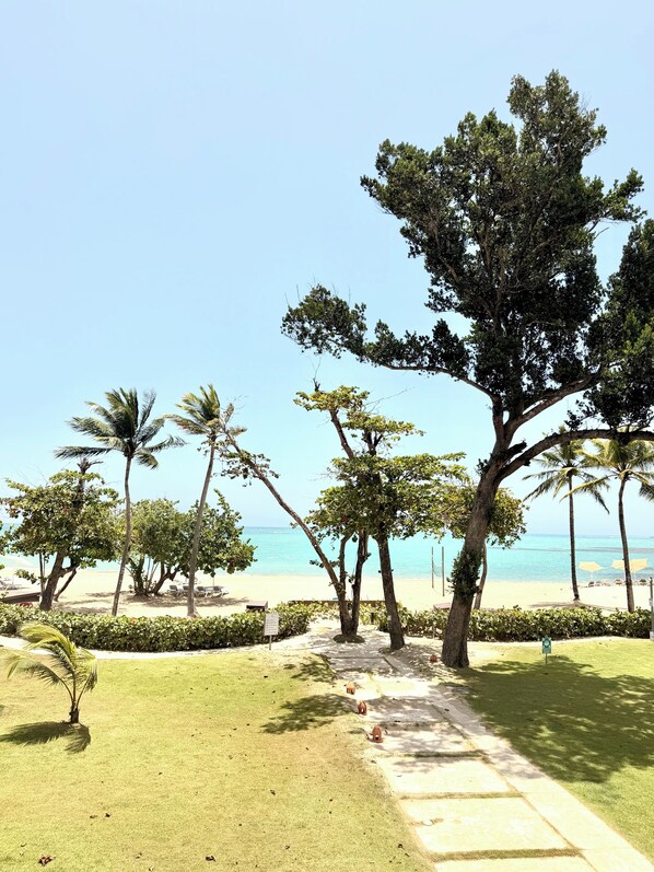 A beachside view with palm trees, a pathway, and a clear sky. - Riviera Azul - Playa Dorada (Puerto Plata)