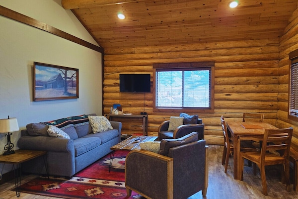 Living room with pull out couch