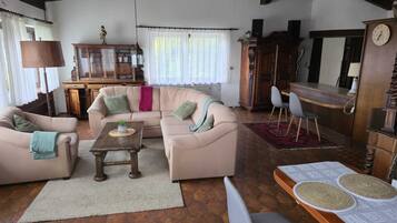 TV, fireplace, books, stereo