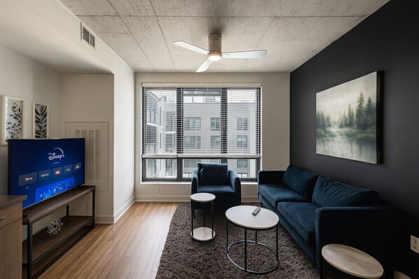 TV, computer monitors