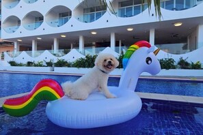A small white dog sitting on a unicorn float in a pool area with a modern building in the background. - Puerto Galera Seaview Resort (Puerto Galera)