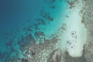 An aerial view of a beach with clear turquoise waters and a sandy shore. There are several boats anchored near the shore. - Puerto Galera Seaview Resort (Puerto Galera)