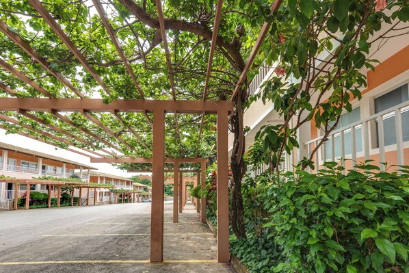 Jardin