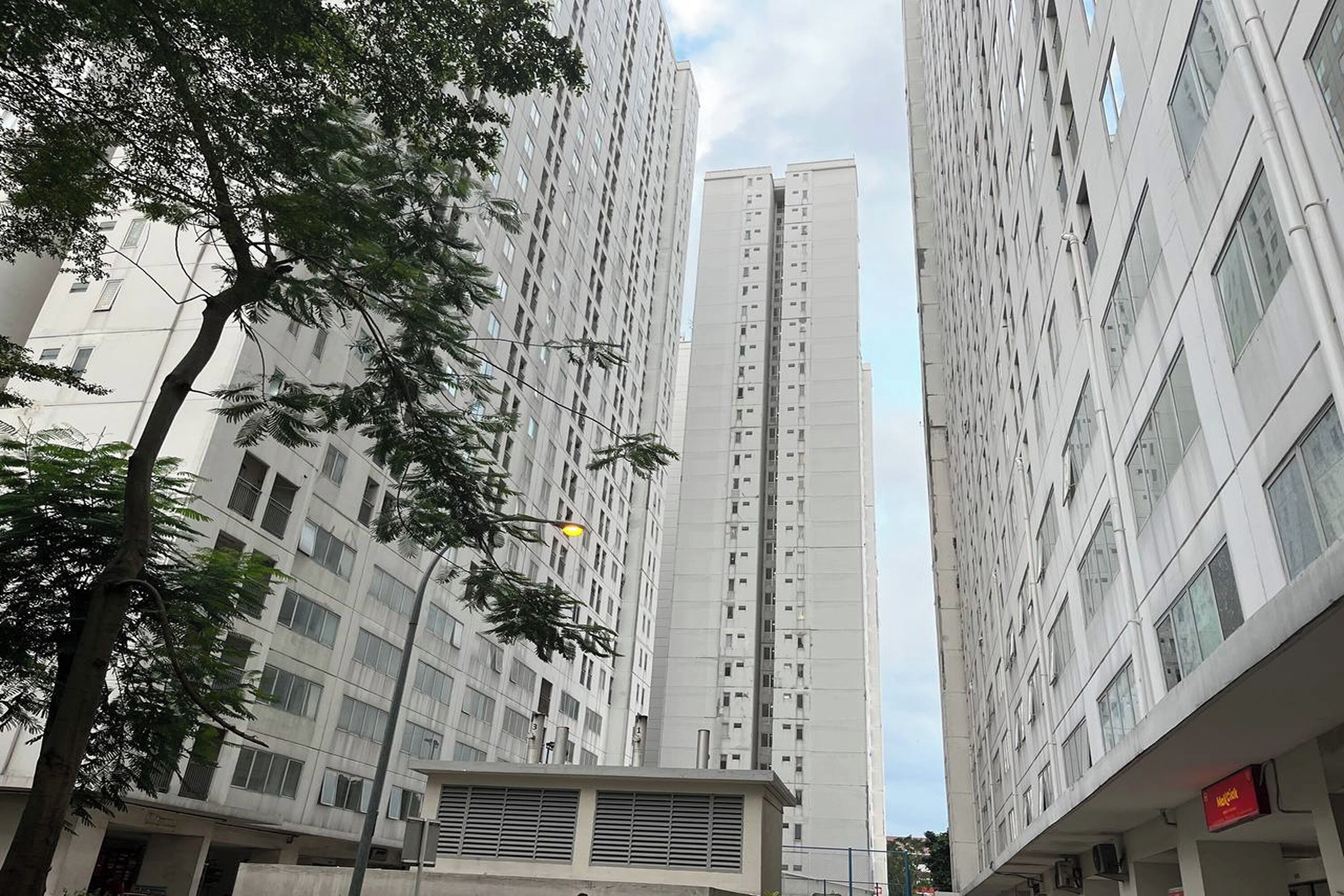 Vista da propriedade